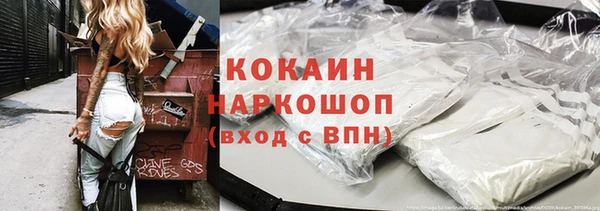 шишки Армянск