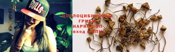 герыч Алзамай