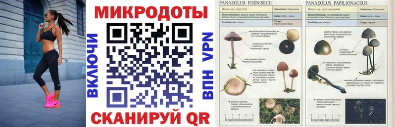 Псилоцибиновые грибы мухоморы  Голицыно 